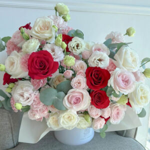 Whatsapp Image 2025 01 28 At 8.31.47 Pm