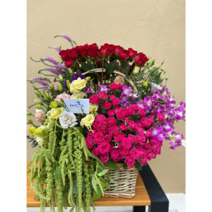 Whatsapp Image 2025 01 28 At 8.34.38 Pm