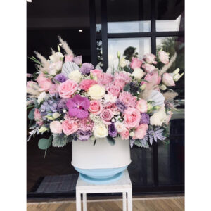 Whatsapp Image 2025 01 28 At 8.40.18 Pm