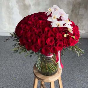 Whatsapp Image 2025 01 28 At 8.51.57 Pm