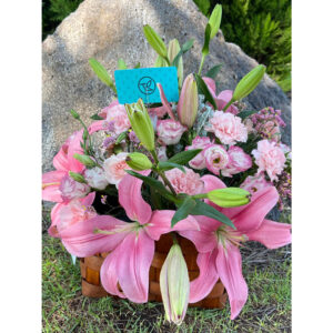 Whatsapp Image 2025 01 28 At 9.13.45 Pm