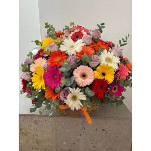 Whatsapp Image 2025 01 28 At 9.15.46 Pm