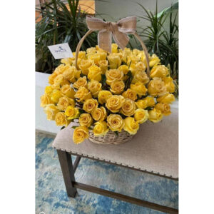 Whatsapp Image 2025 01 28 At 9.25.13 Pm