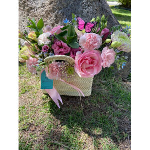 Whatsapp Image 2025 01 28 At 9.27.24 Pm