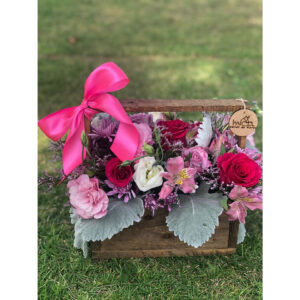 Whatsapp Image 2025 01 28 At 9.36.40 Pm