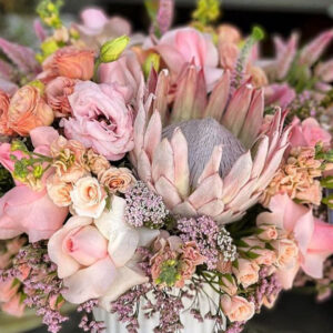 Whatsapp Image 2025 01 29 At 6.11.40 Pm