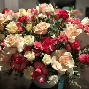 Whatsapp Image 2025 01 29 At 6.21.53 Pm