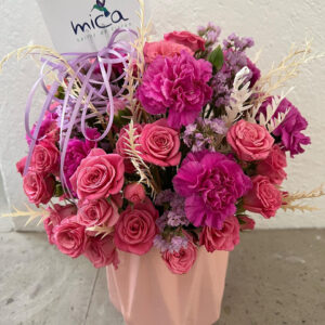 Whatsapp Image 2025 01 29 At 6.25.07 Pm