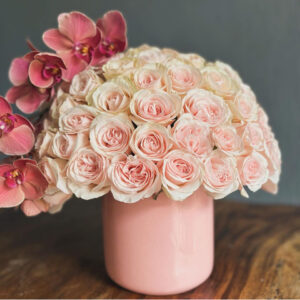 Whatsapp Image 2025 01 29 At 6.34.49 Pm