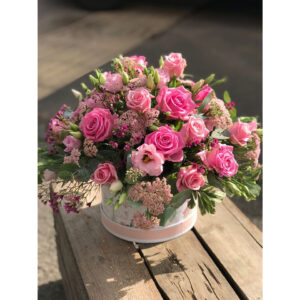 Whatsapp Image 2025 01 29 At 6.51.03 Pm