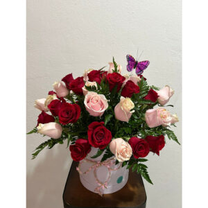 Whatsapp Image 2025 01 29 At 6.52.33 Pm