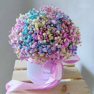 Whatsapp Image 2025 01 29 At 6.56.34 Pm