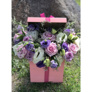 Whatsapp Image 2025 01 29 At 6.57.30 Pm (2)