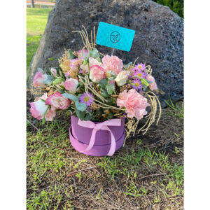 Whatsapp Image 2025 01 29 At 7.04.49 Pm