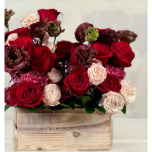 Whatsapp Image 2025 01 29 At 7.06.17 Pm