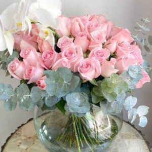 Whatsapp Image 2025 01 29 At 7.20.50 Pm