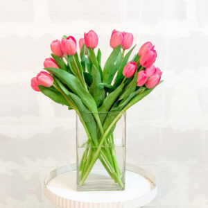 Whatsapp Image 2025 01 29 At 7.29.17 Pm