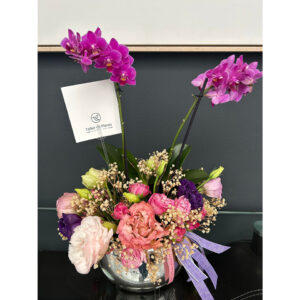 Whatsapp Image 2025 01 29 At 7.45.19 Pm