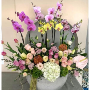 Whatsapp Image 2025 01 29 At 7.49.49 Pm