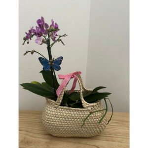 Whatsapp Image 2025 01 29 At 9.28.27 Pm